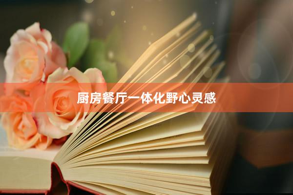 厨房餐厅一体化野心灵感