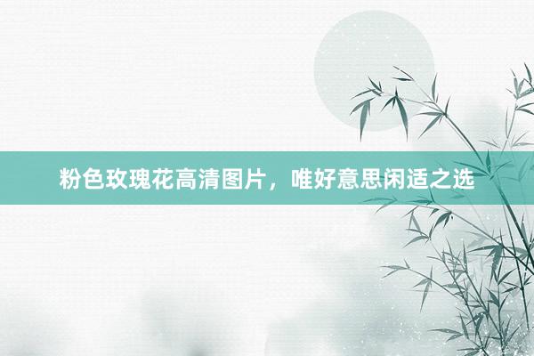 粉色玫瑰花高清图片，唯好意思闲适之选