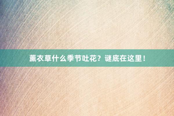 薰衣草什么季节吐花？谜底在这里！