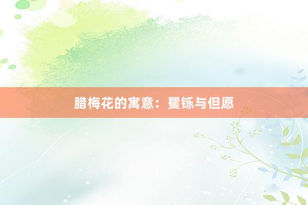 腊梅花的寓意：矍铄与但愿