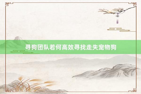 寻狗团队若何高效寻找走失宠物狗